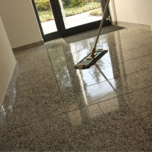 Curabitur a malesuada ex 124